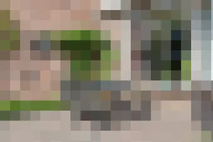Dommel 69 Oisterwijk thumbnail 16