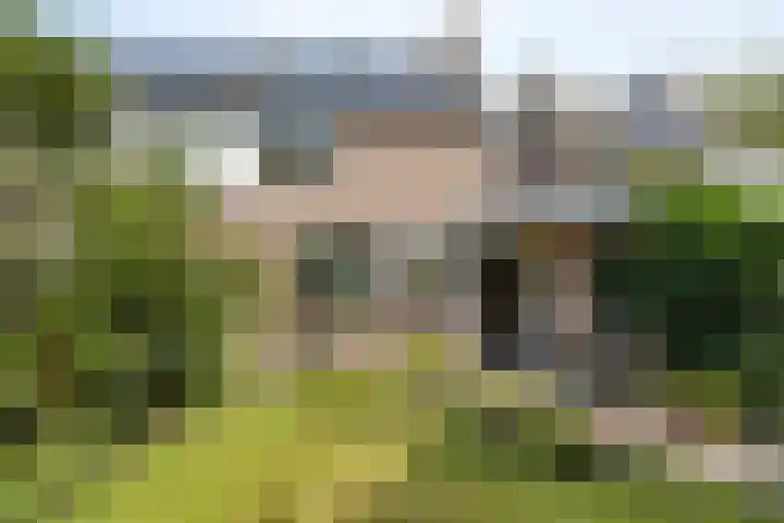 Dommel 69 Oisterwijk thumbnail 29