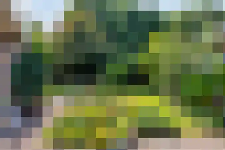 Dommel 69 Oisterwijk thumbnail 30