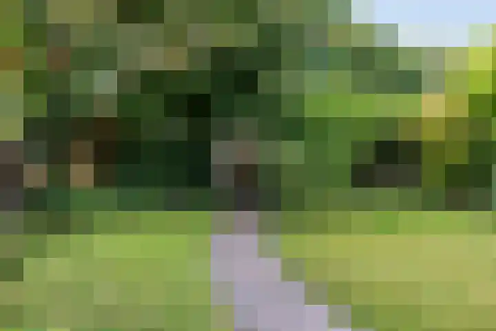 Dommel 69 Oisterwijk thumbnail 31