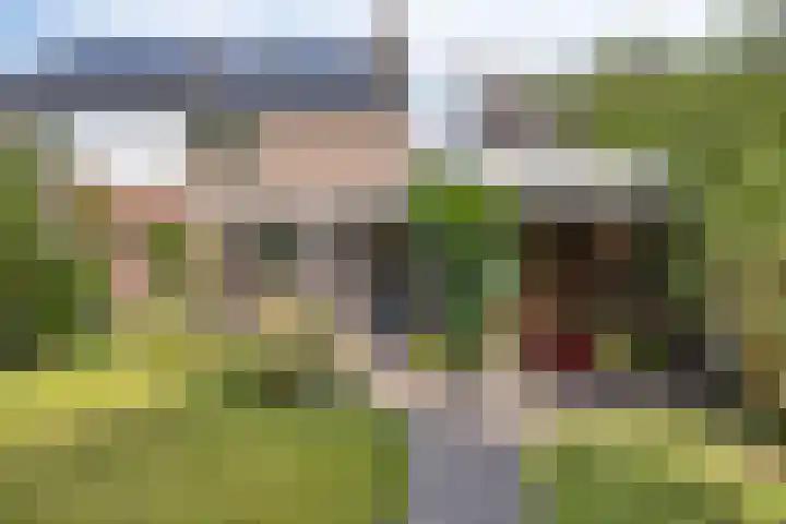 Dommel 69 Oisterwijk thumbnail 32