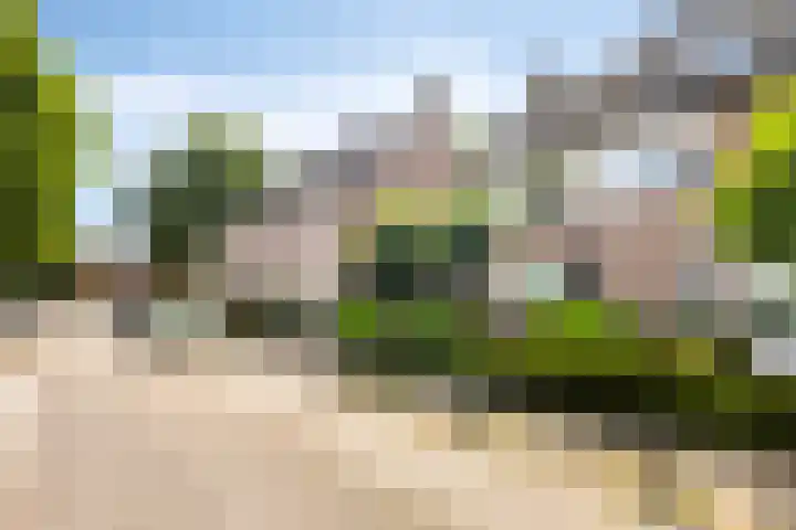 Dommel 69 Oisterwijk thumbnail 35