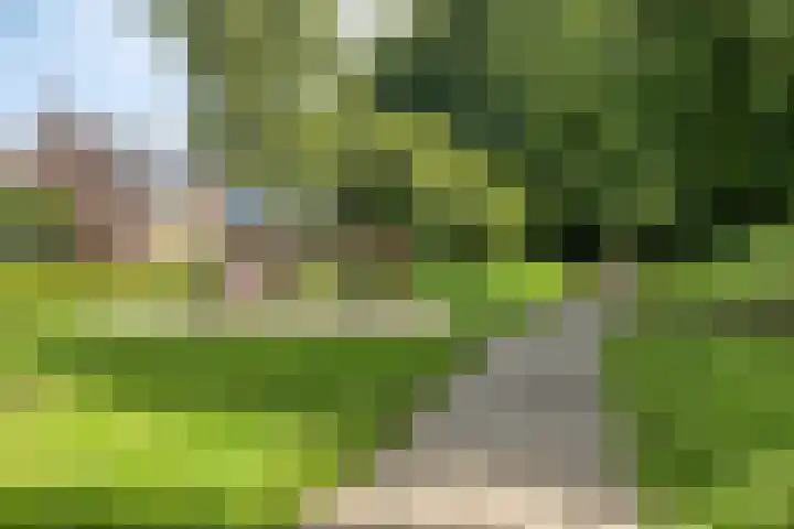 Dommel 69 Oisterwijk thumbnail 36