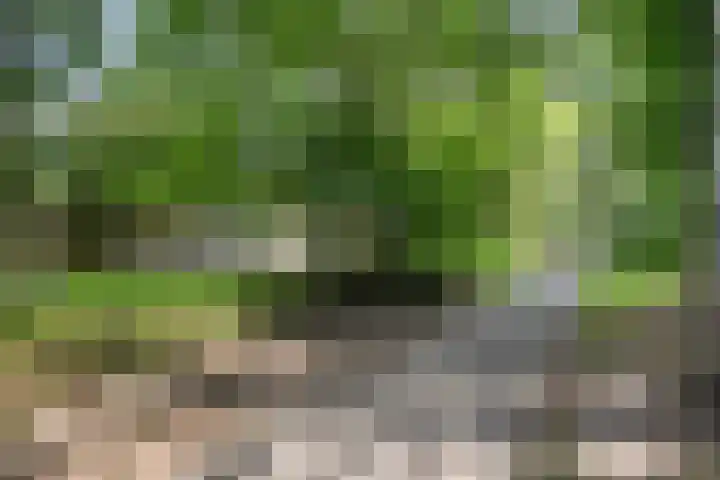 Dommel 69 Oisterwijk thumbnail 37