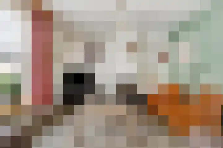 Dommel 69 Oisterwijk thumbnail 6