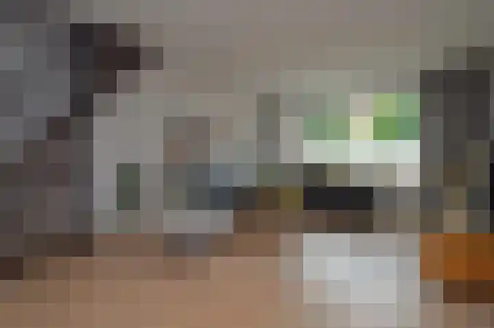 Dommel 7 Deurne foto 2