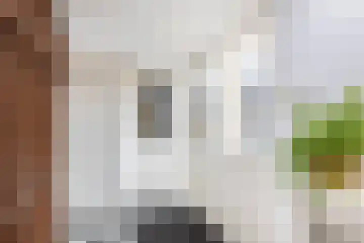 Dommel 7 Deurne thumbnail 22