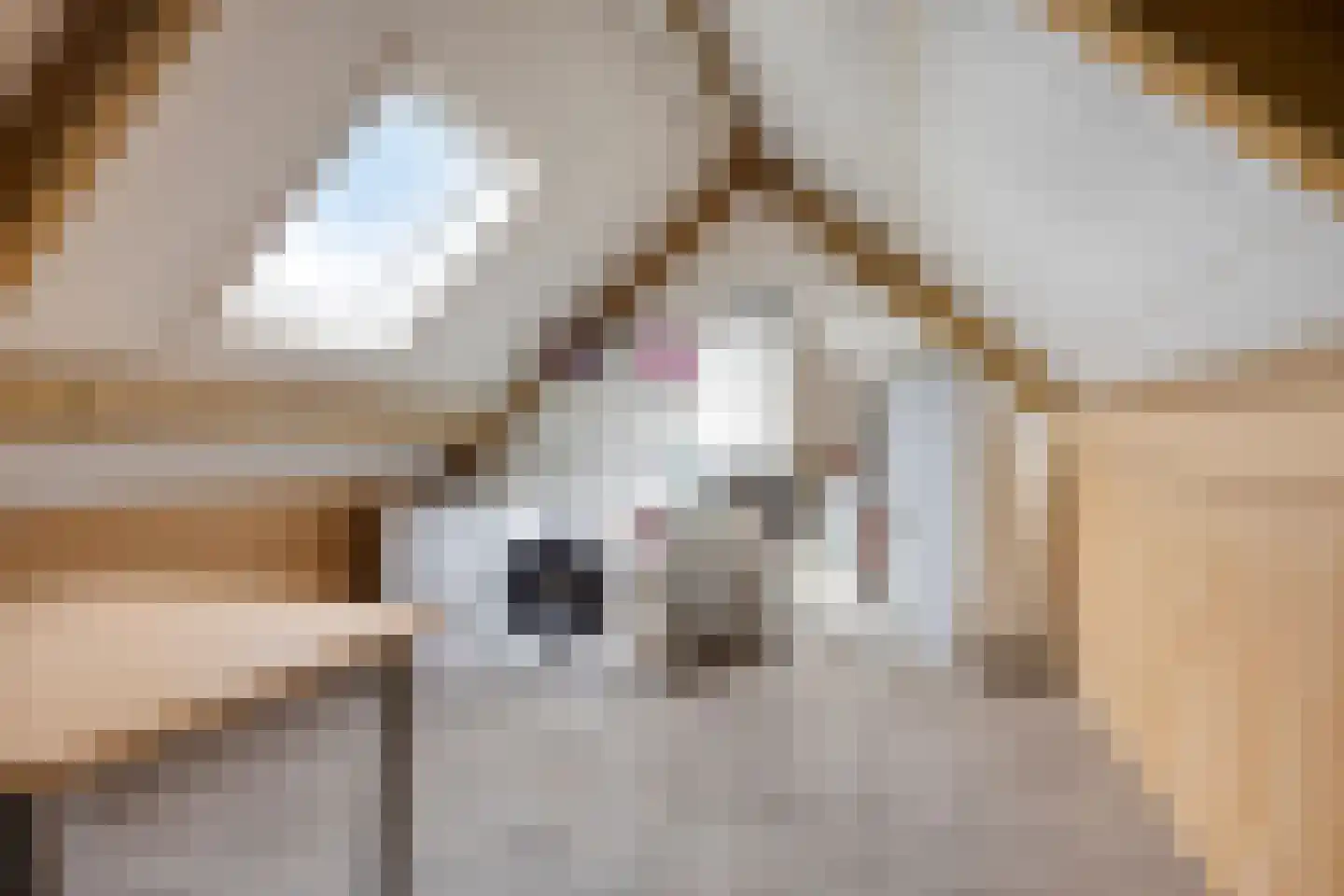 Dommel 7 Someren thumbnail 29