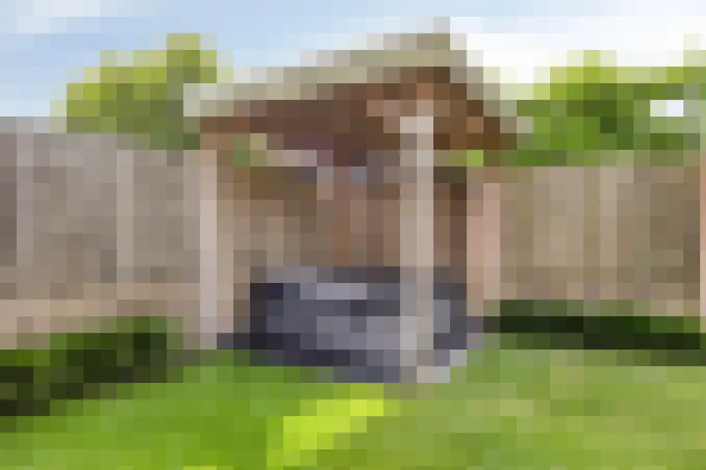Dommel 7 Someren thumbnail 32