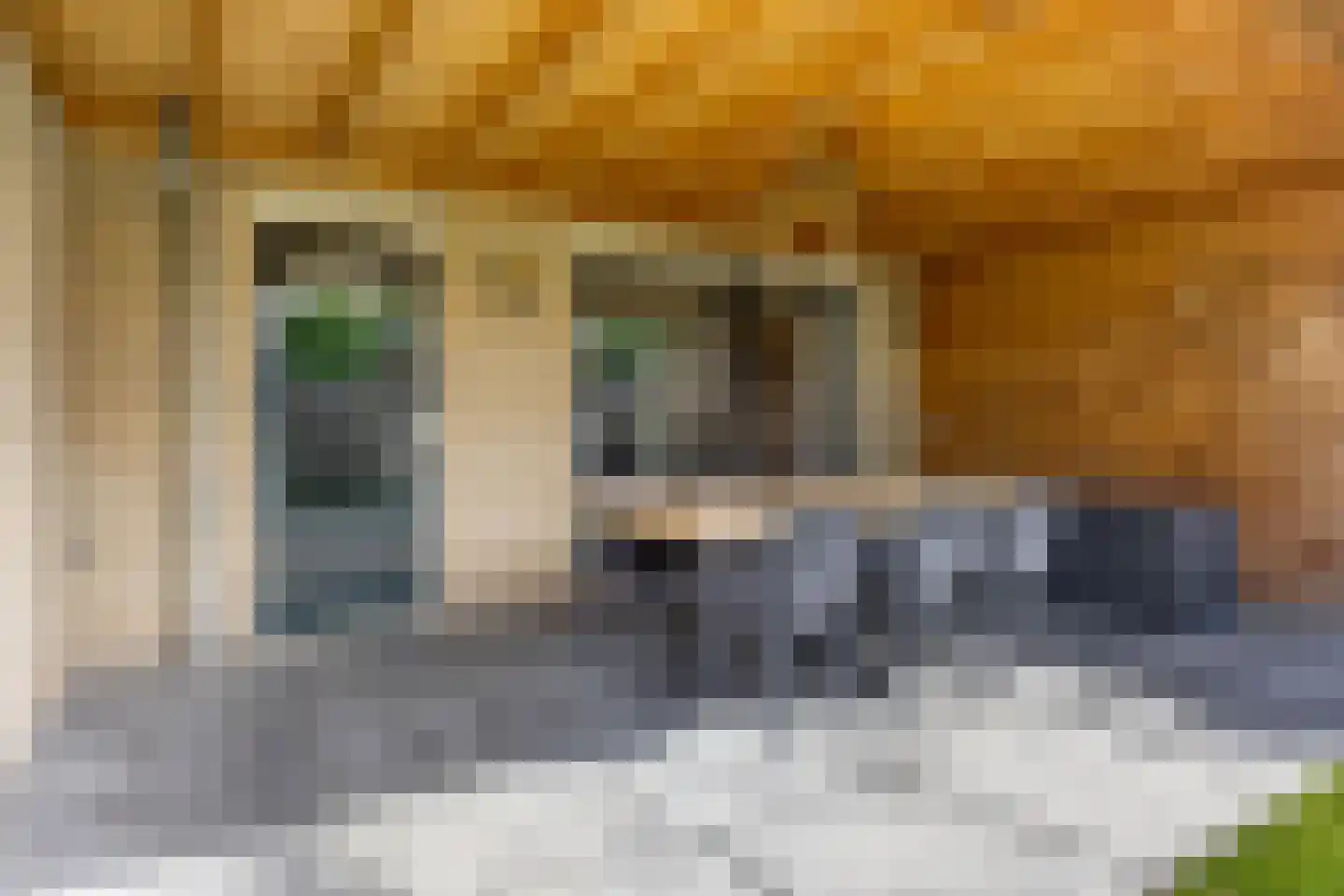 Dommel 7 Someren thumbnail 35