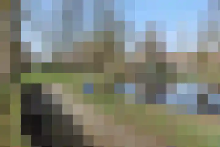Dommelborch 108 Rosmalen thumbnail 23