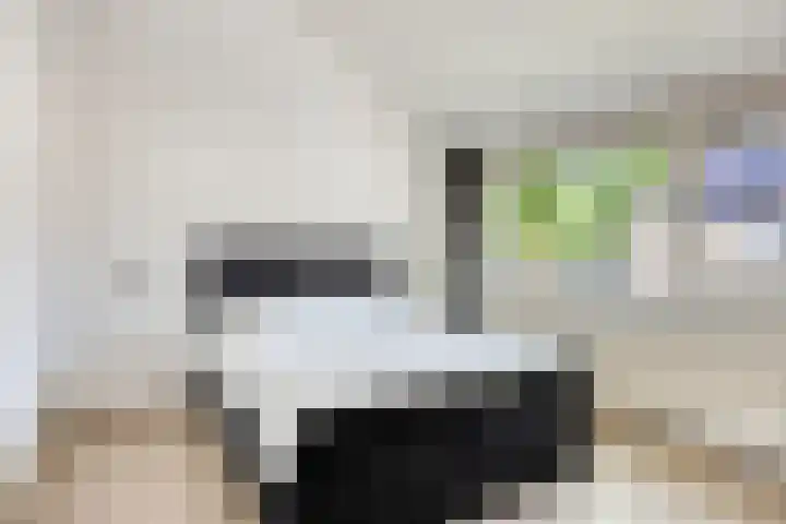 Dommelborch 31 Rosmalen thumbnail 13