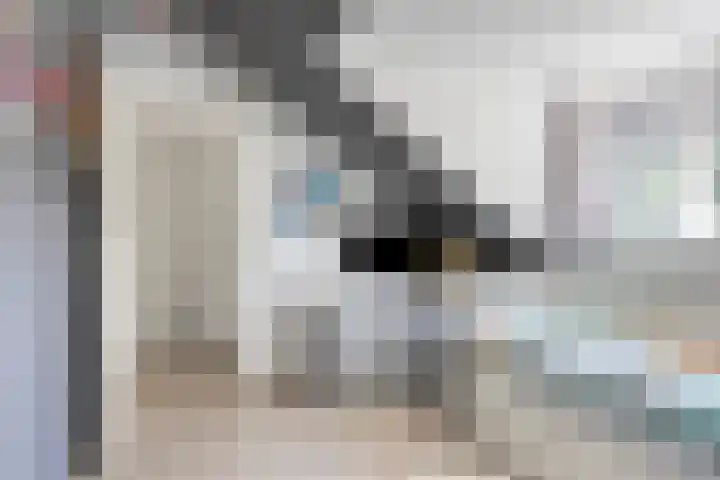 Dommelborch 31 Rosmalen thumbnail 16