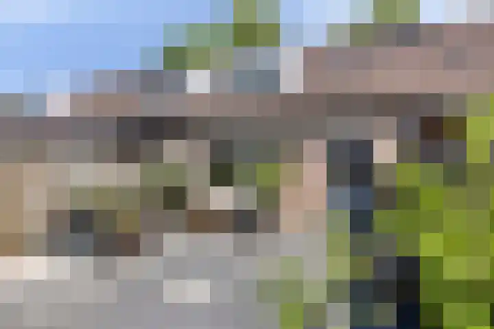 Dommelborch 31 Rosmalen thumbnail 20