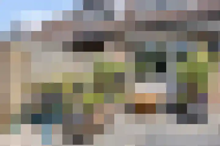 Dommelborch 31 Rosmalen thumbnail 21