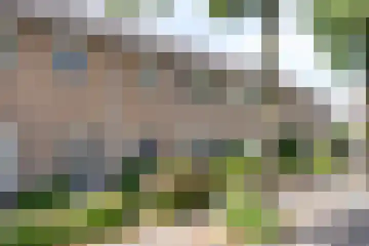 Dommelborch 31 Rosmalen thumbnail 25