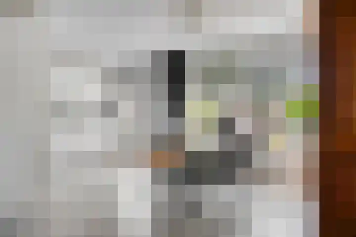 Dommelborch 31 Rosmalen thumbnail 6