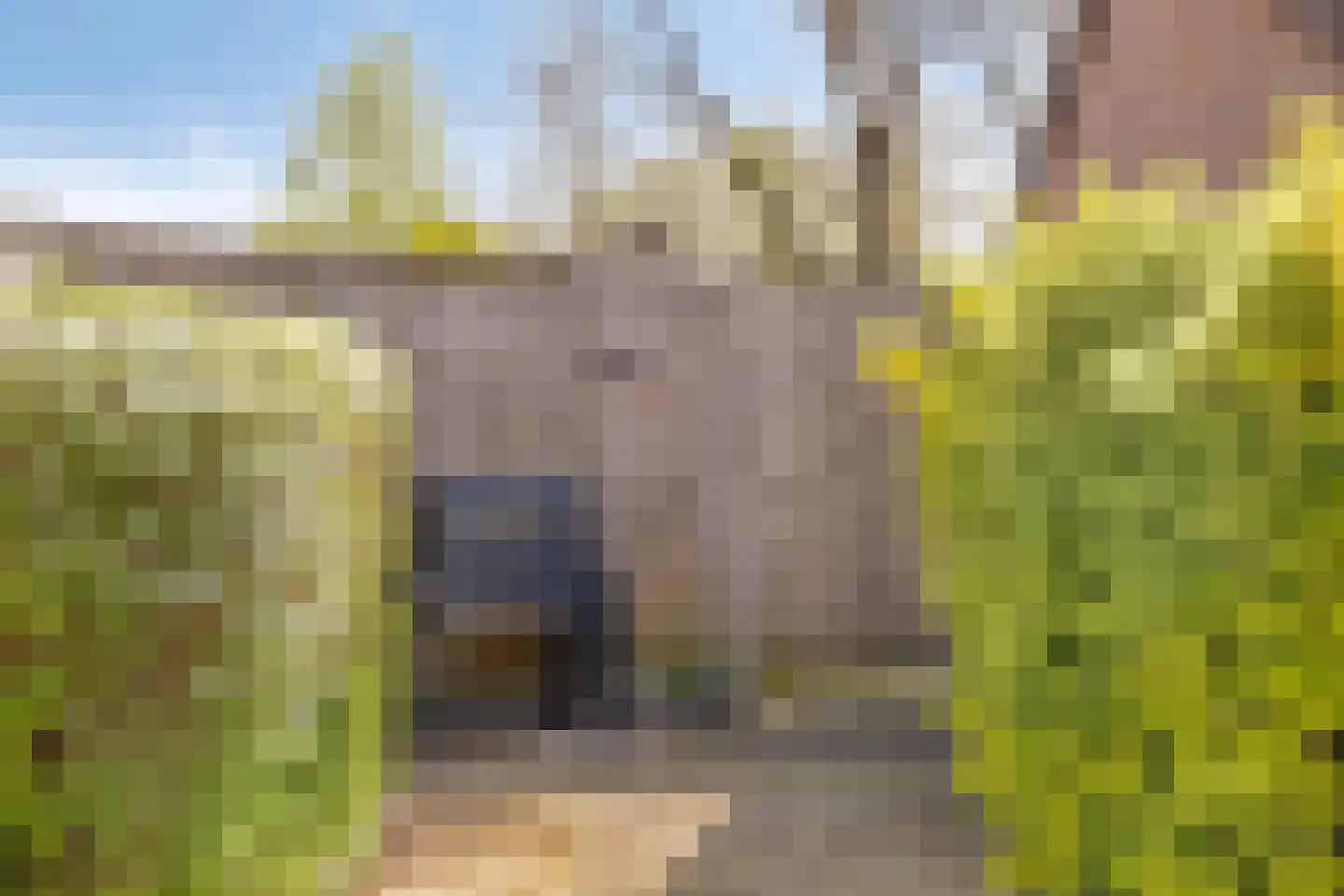 Dommelborch 39 Rosmalen thumbnail 21