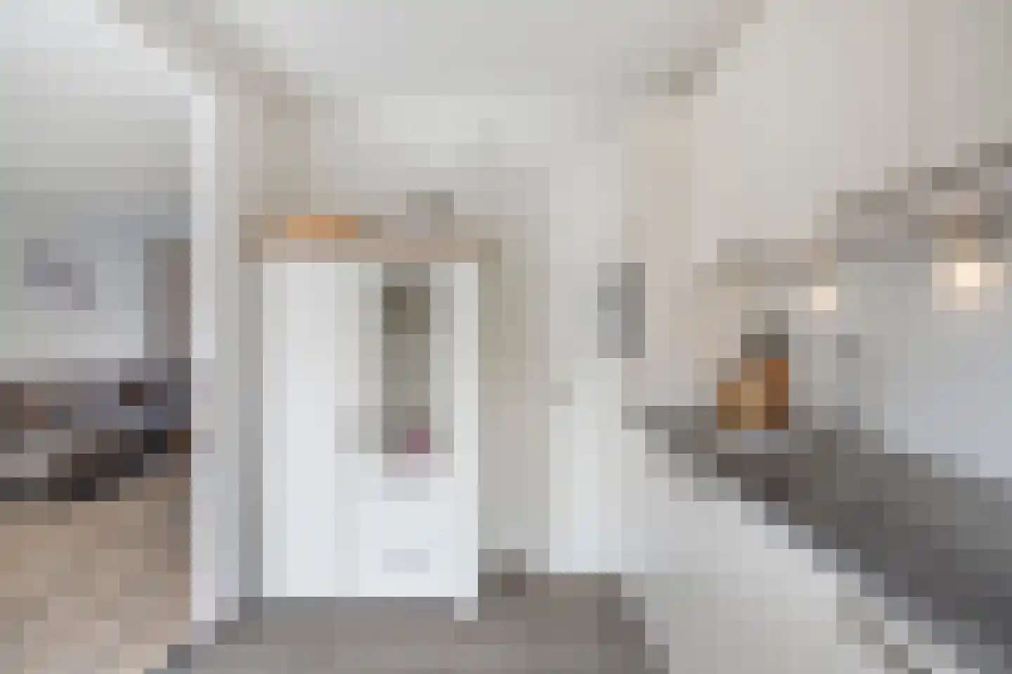 Dommelborch 39 Rosmalen thumbnail 7