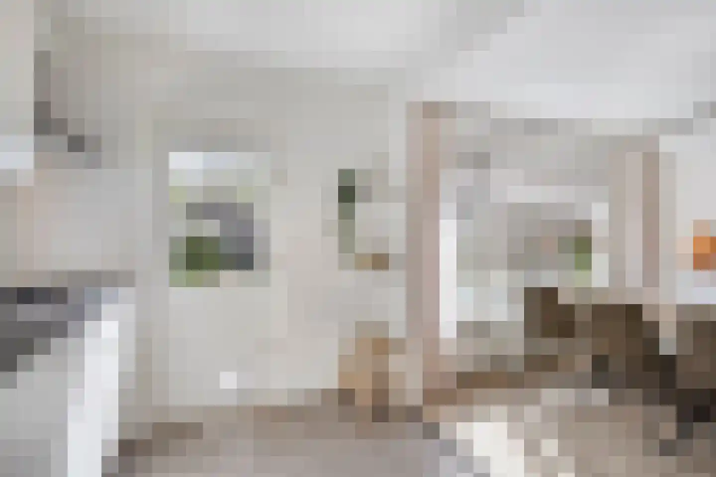 Dommelborch 39 Rosmalen thumbnail 8