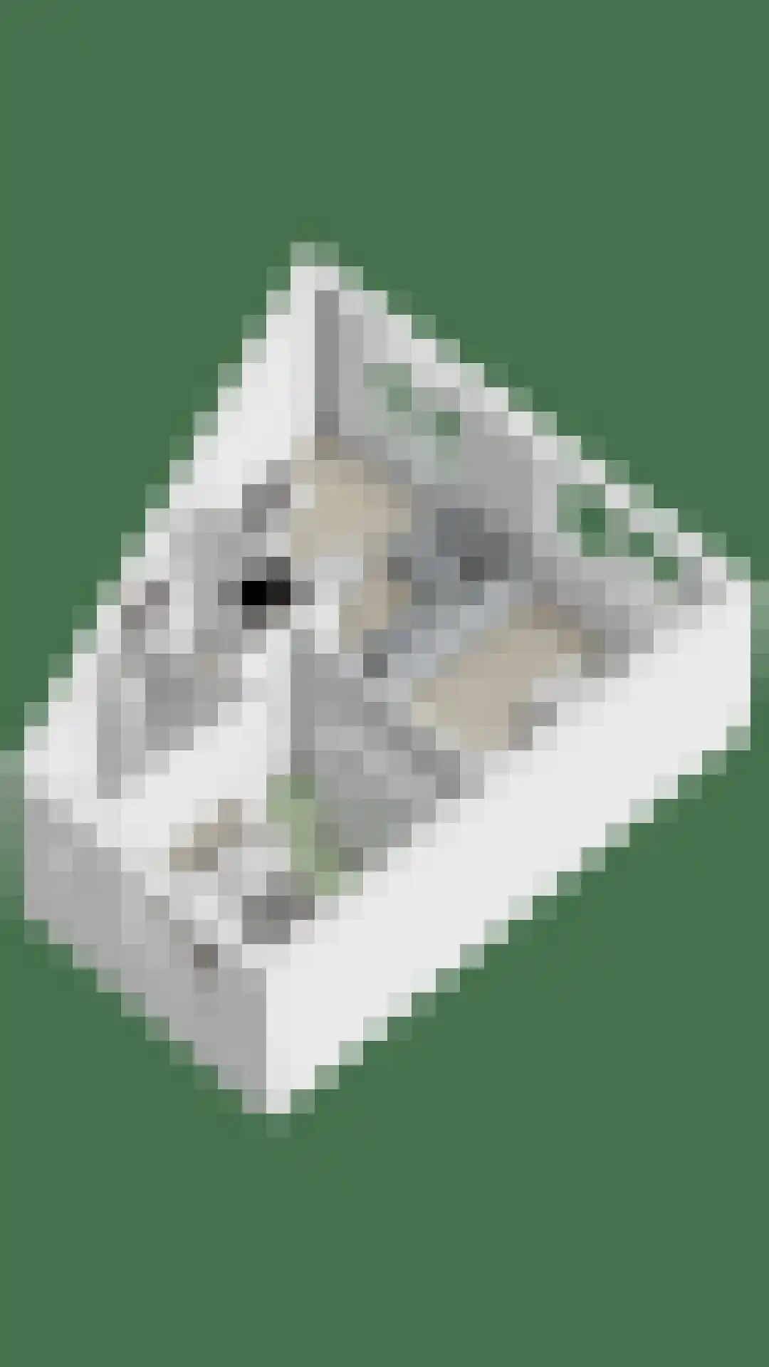 Dommelborch 44 Rosmalen thumbnail 30