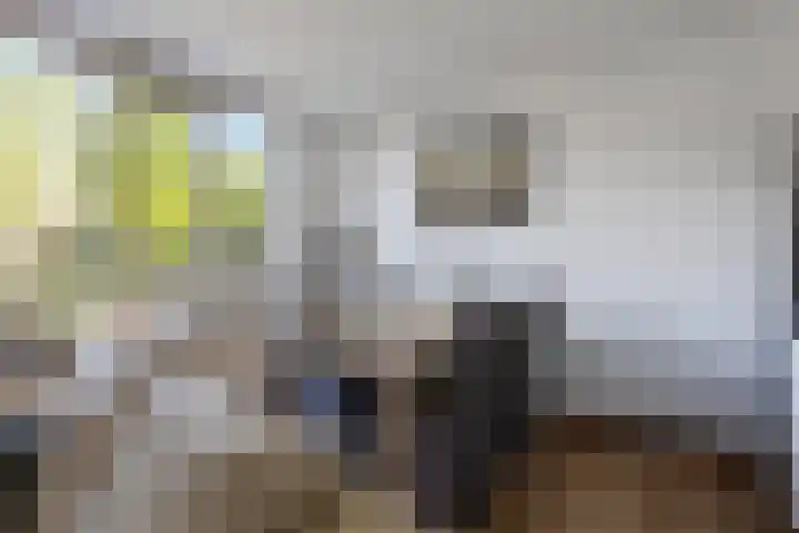 Dommelborch 56 Rosmalen thumbnail 10