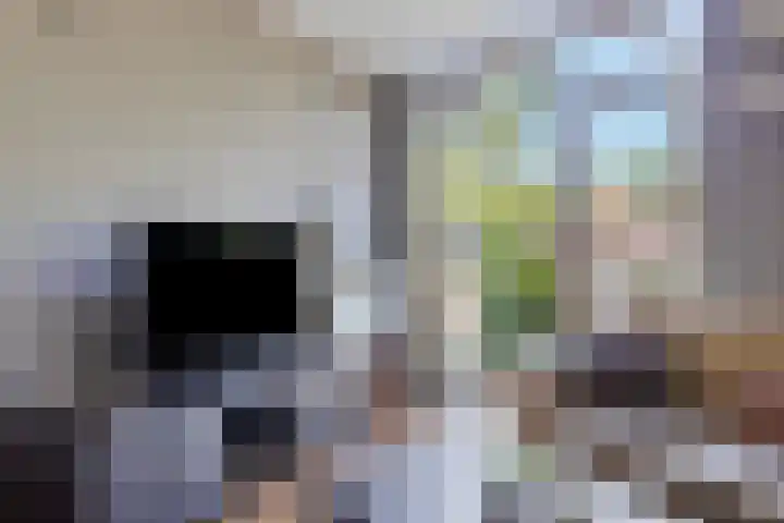 Dommelborch 56 Rosmalen thumbnail 12
