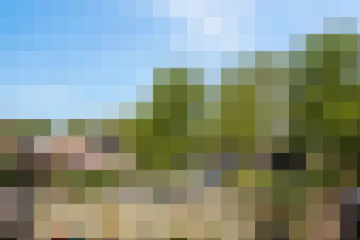 Dommelborch 56 Rosmalen thumbnail 18