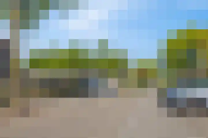 Dommelborch 56 Rosmalen thumbnail 19