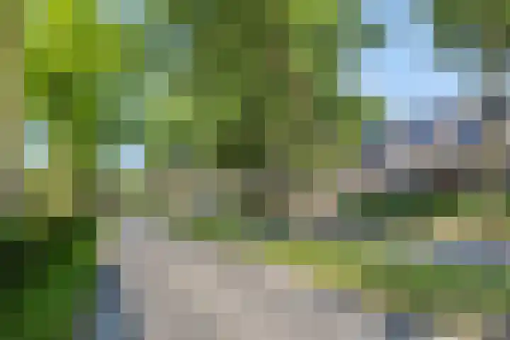 Dommelborch 56 Rosmalen thumbnail 20