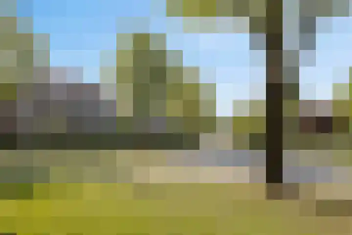 Dommelborch 56 Rosmalen thumbnail 21
