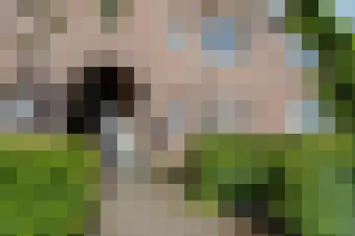 Dommelborch 56 Rosmalen thumbnail 5