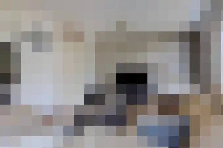 Dommelborch 56 Rosmalen thumbnail 7