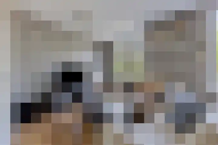 Dommelborch 56 Rosmalen thumbnail 8