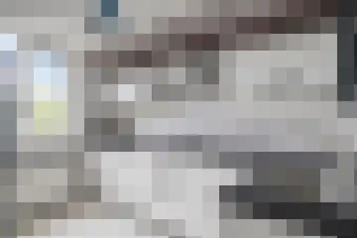 Dommelborch 60 Rosmalen thumbnail 10