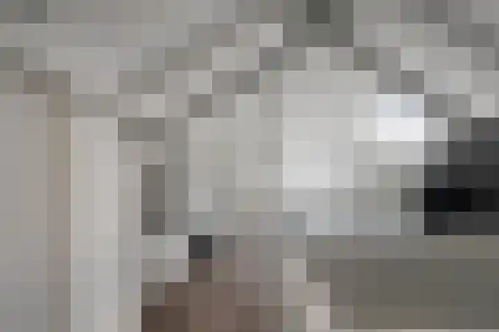 Dommelborch 60 Rosmalen thumbnail 13