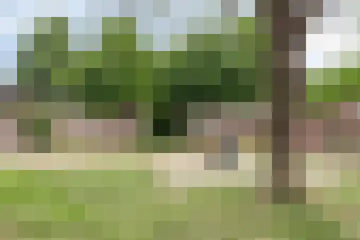 Dommelborch 60 Rosmalen thumbnail 18