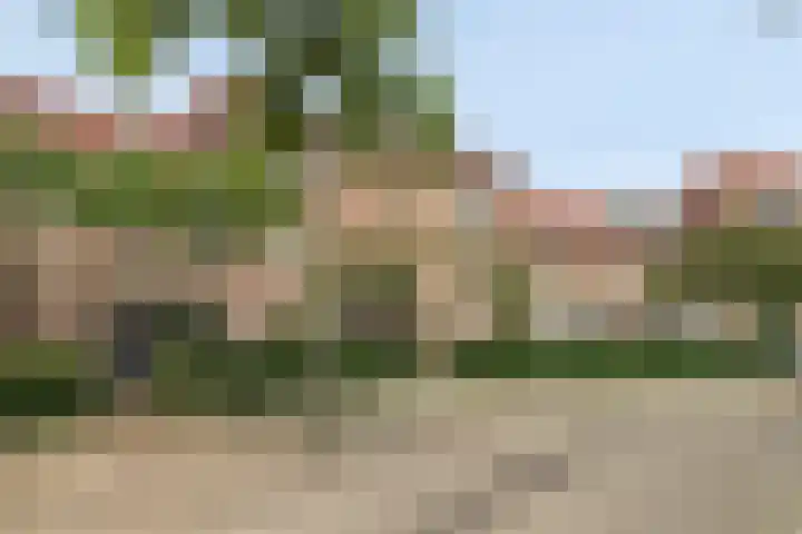 Dommelborch 60 Rosmalen thumbnail 19
