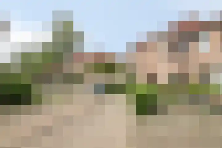 Dommelborch 60 Rosmalen thumbnail 20