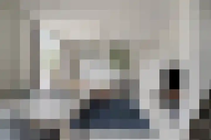 Dommelborch 60 Rosmalen thumbnail 6