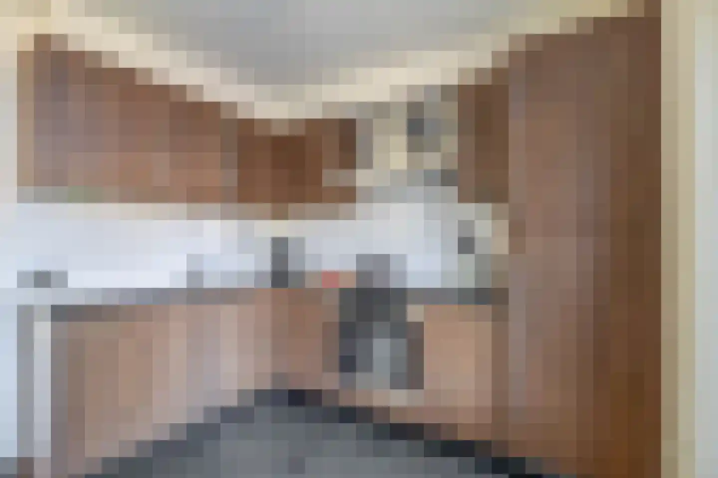 Dommelborch 68 Rosmalen thumbnail 16