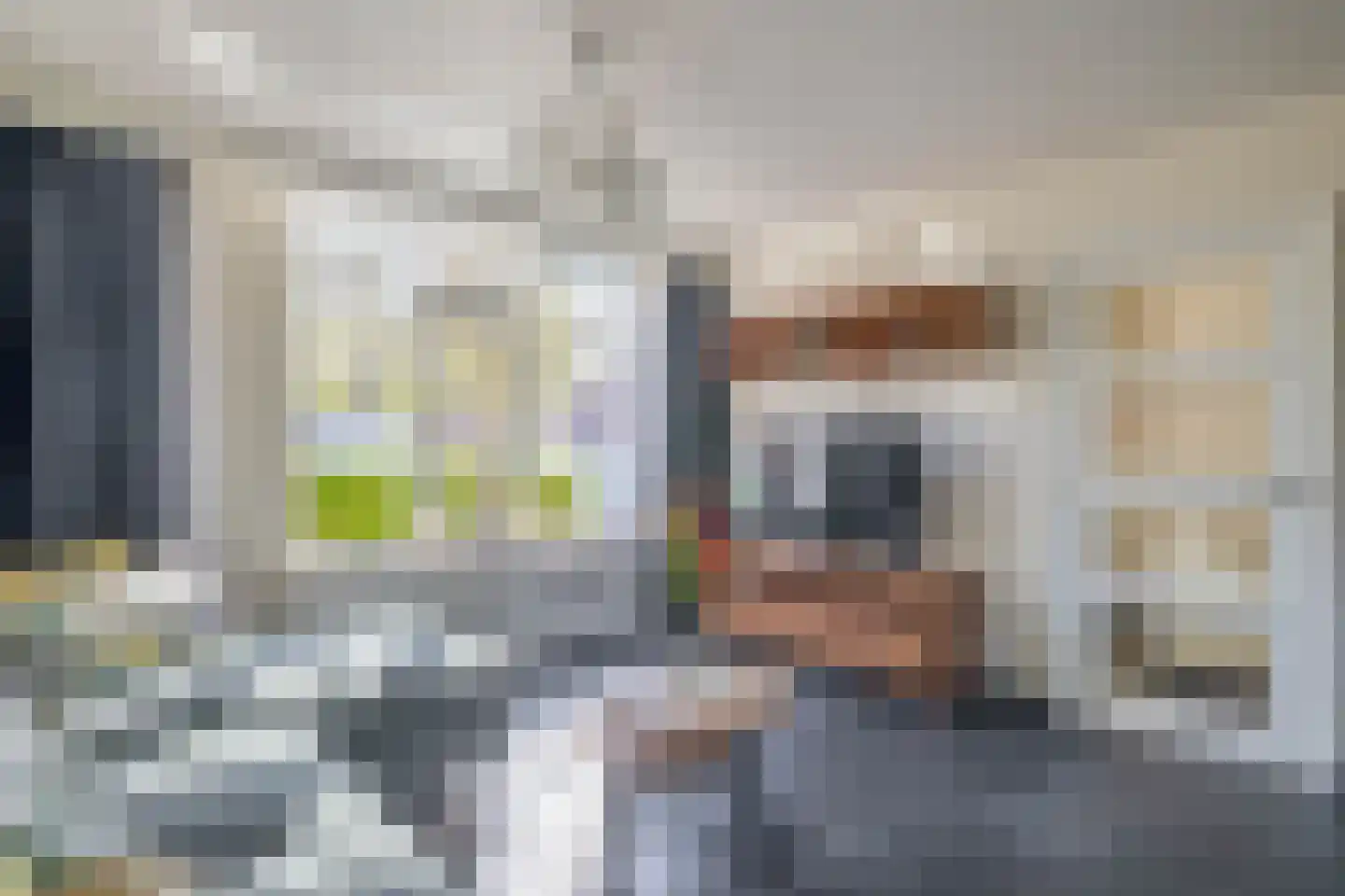 Dommelborch 68 Rosmalen thumbnail 8