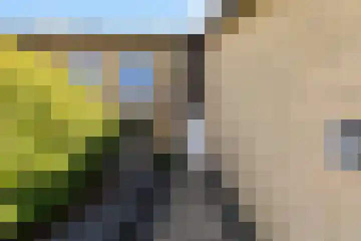 Dommeldal 26 Boxtel thumbnail 4