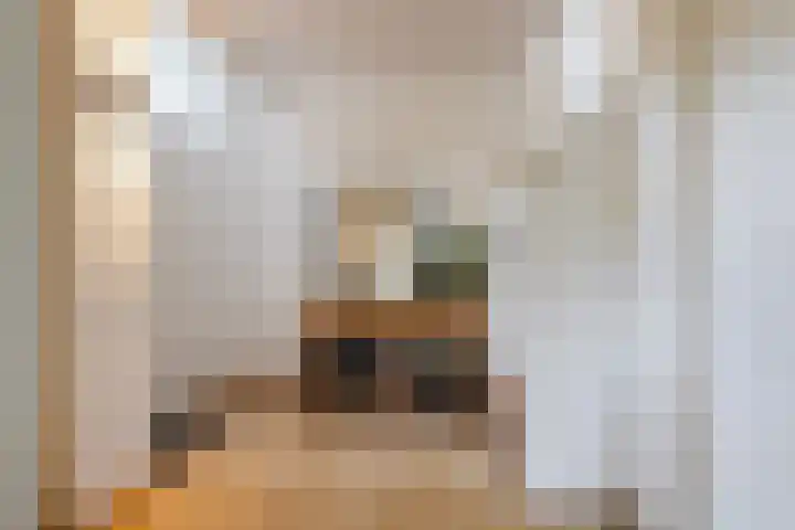 Dommeldal 26 Boxtel thumbnail 6