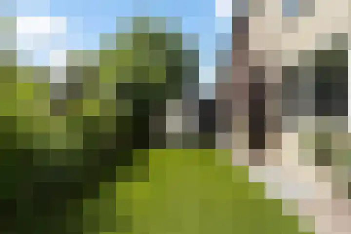 Dommeldal 26 Boxtel thumbnail 62