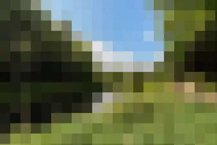 Dommeldal 26 Boxtel thumbnail 76