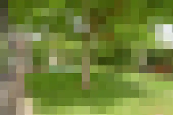 Dommeldal 32 Boxtel thumbnail 34