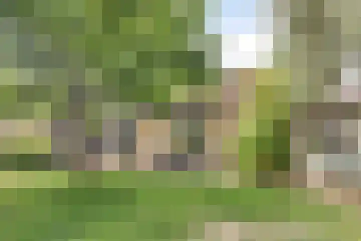 Dommeldal 32 Boxtel thumbnail 38