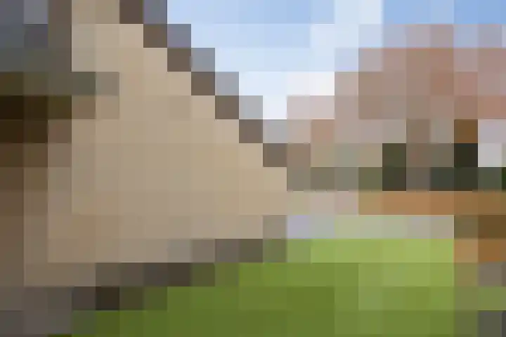 Dommeldal 62 Boxtel thumbnail 11