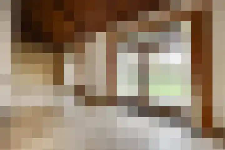 Dommeldal 62 Boxtel thumbnail 15